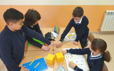 Educación primaria
