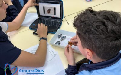 Admisiones